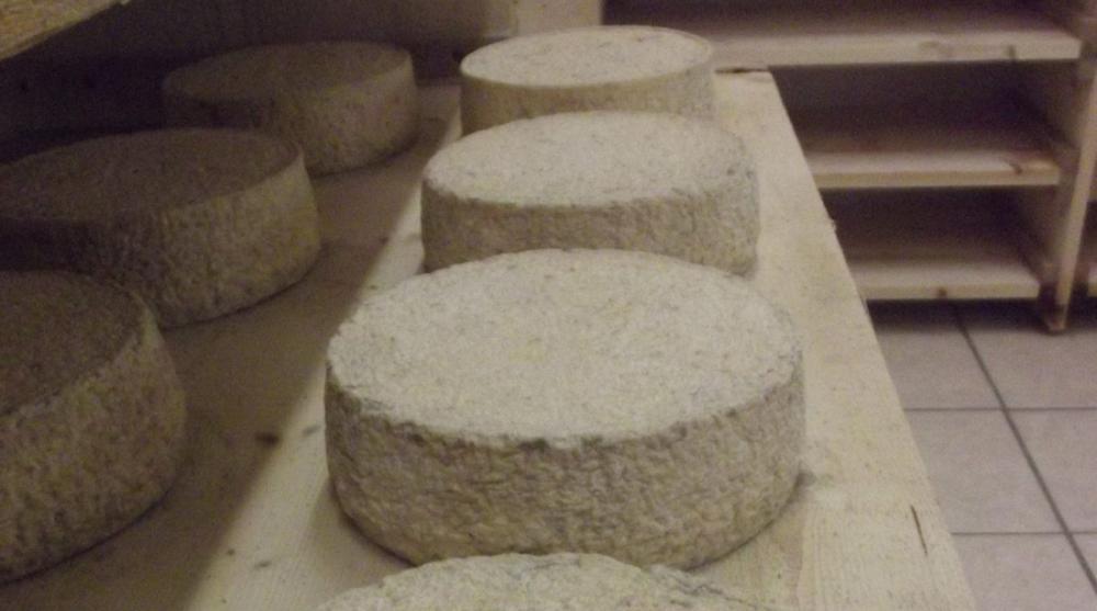Produits laitiers Produits laitiers